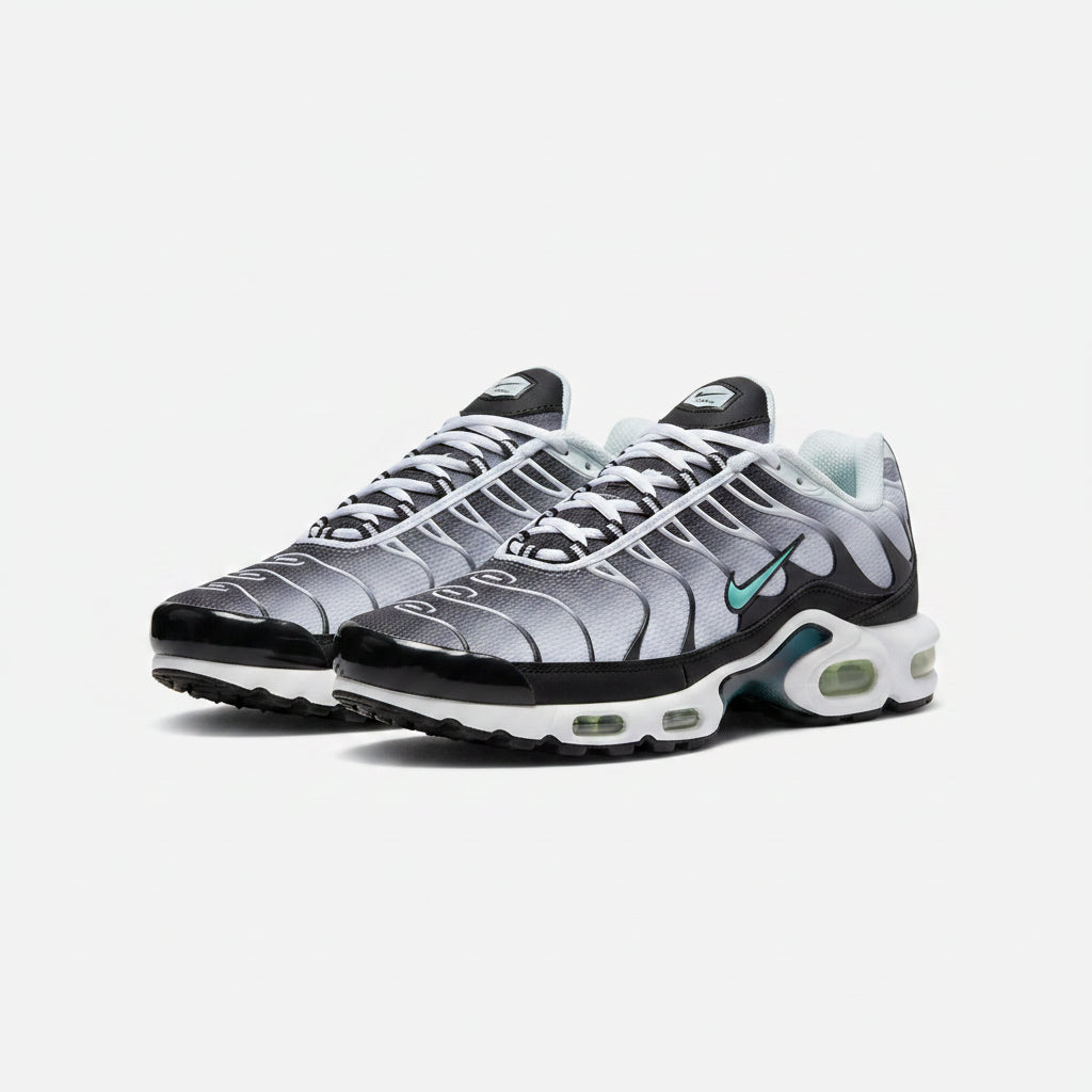 NIKE TN NEGRO - GRIS