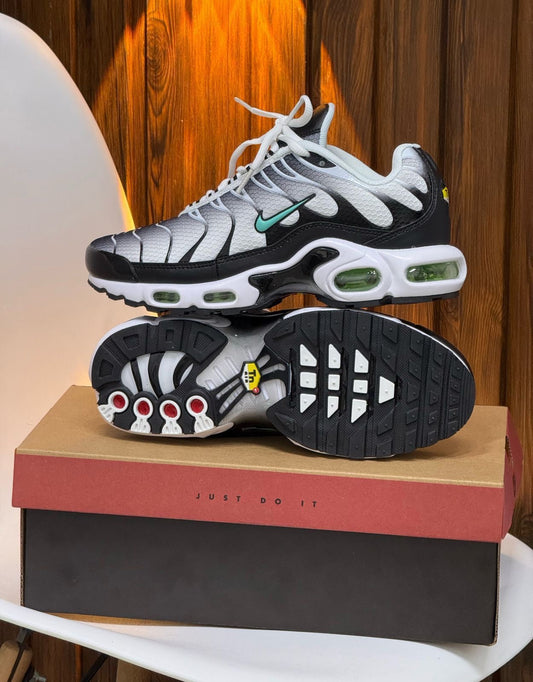 NIKE TN NEGRO - GRIS