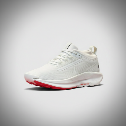 NIKE PEGASUS TRAIL 5 GORE-TEX